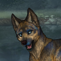 Blue Shepherd Headshot