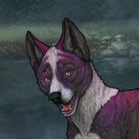 VioletHusky Headshot