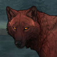 Wolf Headshot