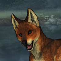 R&C Fox Headshot