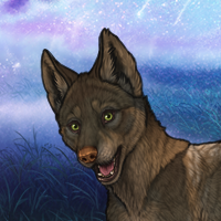 BarkPelt Headshot