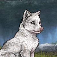 cute piebald Headshot