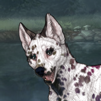 G4 Dalmation Male Headshot