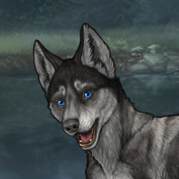 Mel Carrier Husky Headshot