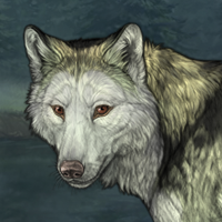 Wolfgrimm Headshot