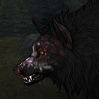 Wolf Headshot