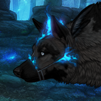 Wolf Headshot