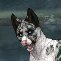 Piebald: Biewer | Female Headshot