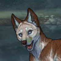 Enclave Pup Headshot