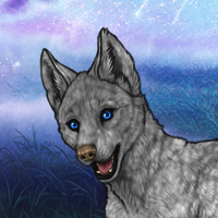 Howlite base Blue eyes Headshot