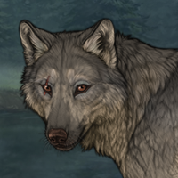 Wolf Headshot