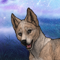 28SC fawn female pup Headshot