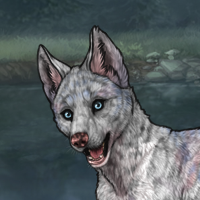 CrystalSnowflake Headshot