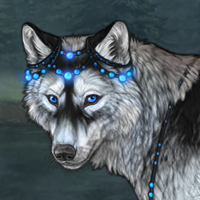 Icy Forest Headshot