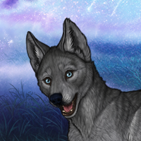 Blue Stalkers pup Headshot