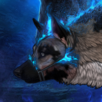 Wolf Headshot