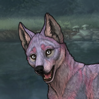 Duskpelt Headshot