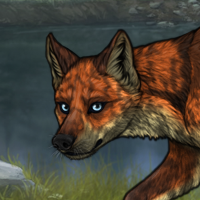 T3 Fox Headshot