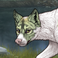 Piebald Headshot