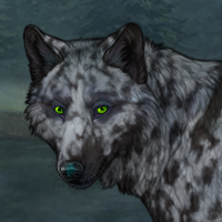 #Denim Merle 547 F G5 Headshot