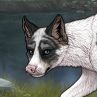 piebald iri Headshot