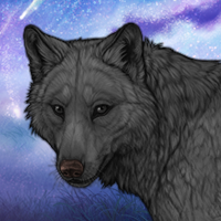 Silver Moon Sky | Elder Headshot