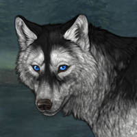Wolf Headshot