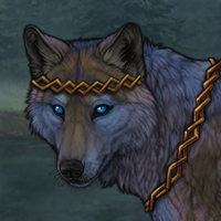 Skypaw/watcher Headshot