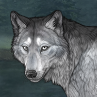 Opal wolf Headshot