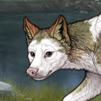 T1 Frontal Male Headshot
