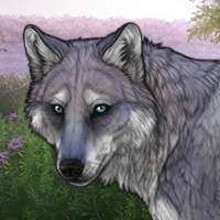 Wolf Headshot