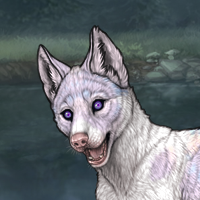 G6 f lavendar piebald bie Headshot