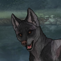 Nightpup Headshot