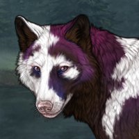 Piebald Hurricane Eyes Headshot