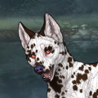 G8 T1 F Dalmatian Headshot