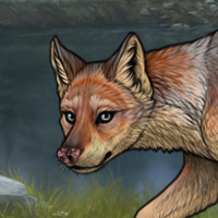 Rnc Novus fox Headshot