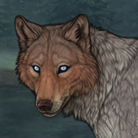 G2 Husky 159/170sm Headshot