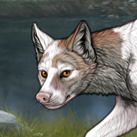 Piebald  m Headshot