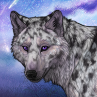 Penryn Headshot