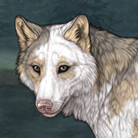 Piebald: Torn Headshot