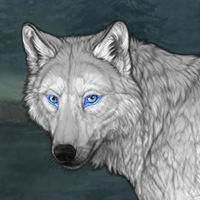 Frostpelt Headshot