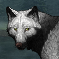 Wolf Headshot