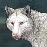 frontal piebald Headshot