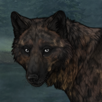 Imi Headshot