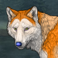 fox'tail Headshot
