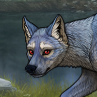 Melichor breed Headshot