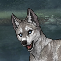 New Puppy Headshot