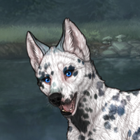 Piebald: Dalmatian Headshot