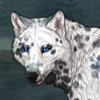 Piebald: Dalmatian Headshot