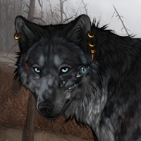 Wolf Headshot